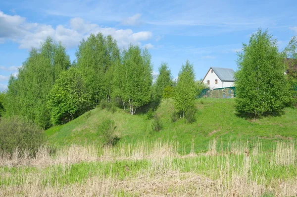 Frühling Ländliche Landschaft Einem Sonnigen Tag — Stockfoto