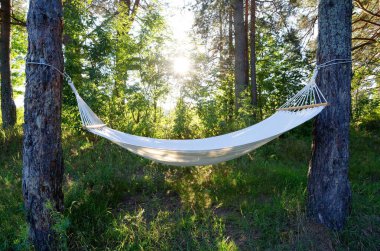 Bir yaz akşamında çam sandıkta hamak