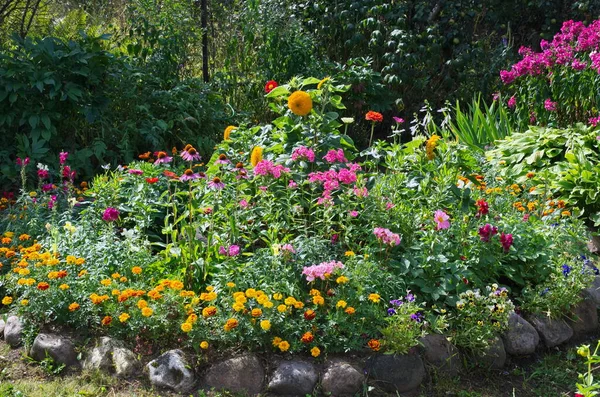 庭の花壇に明るい装飾庭園の花 — ストック写真