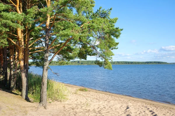 Summer landscape with lake Seliger. — Stock Photo, Image