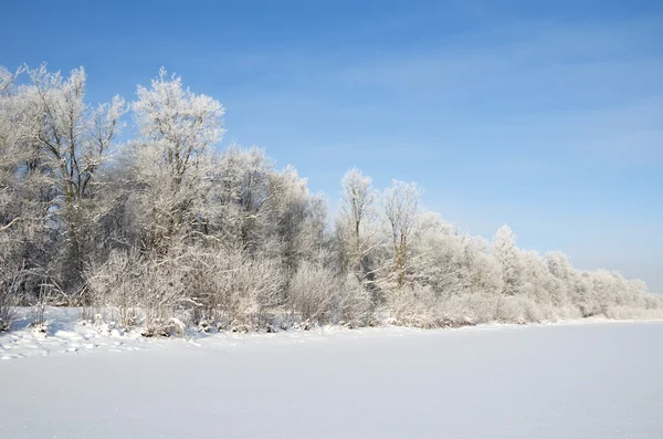 Winter landscape on a Sunny day — Stock Photo, Image