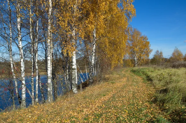 Paisagem de outono com rio — Fotografia de Stock
