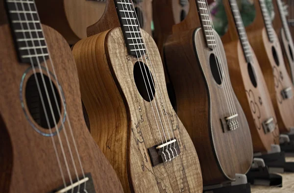 Σειρά των Ukuleles. — Φωτογραφία Αρχείου