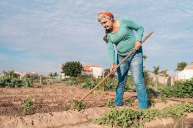 Dışarıda sebze tarlasında çapayla toprak eken yaşlı bir kadın.