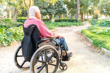 Tekerlekli sandalyedeki son sınıf öğrencisi yeşil bir parkta huzur içinde dinleniyor.