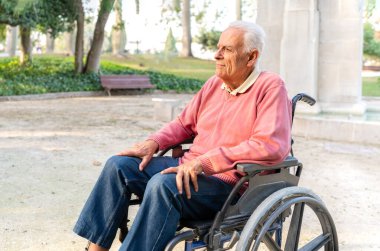 Tekerlekli sandalyedeki son sınıf öğrencisi parkta keyfine bakıyor.