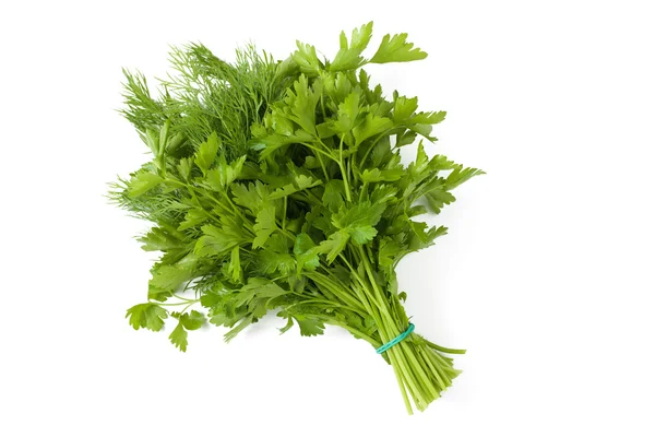 Mixed bunch of parsley and dill — Stock Photo, Image