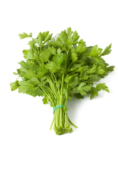 Fresh green parsley dill — Stock Photo, Image