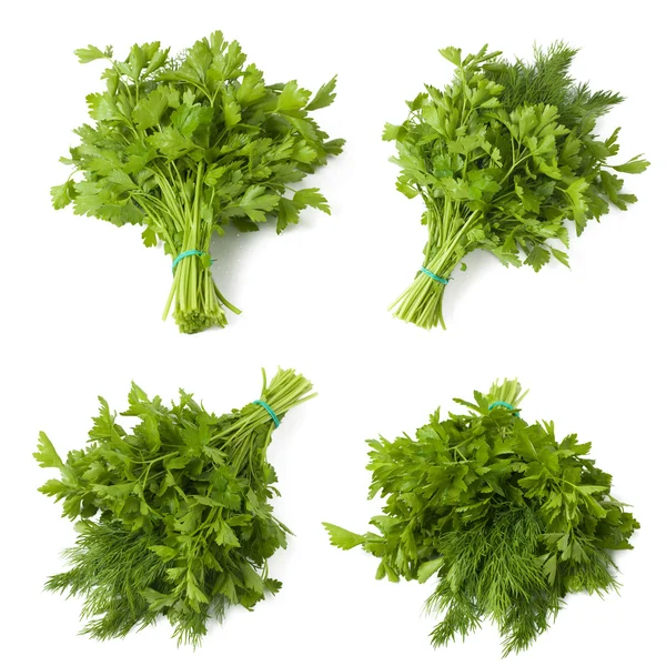 Collection of mixed bunch of parsley and dill — Stock Photo, Image