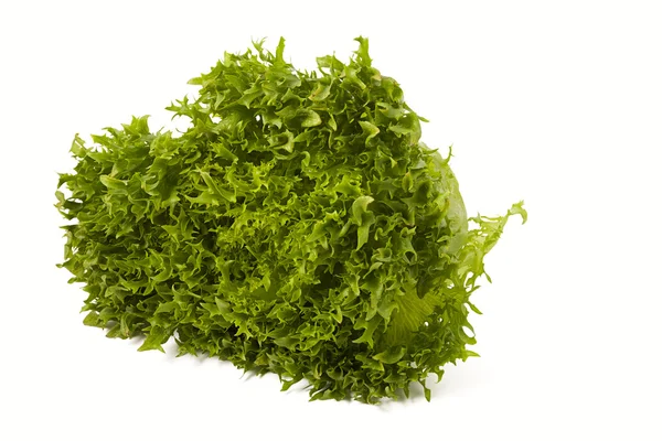 İzole escarole hindiba frisee salata 