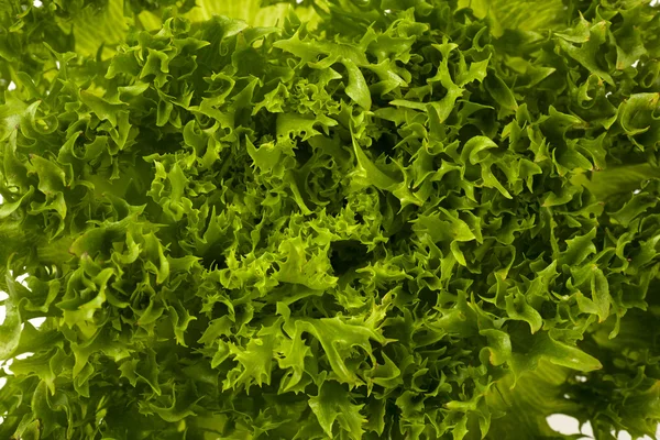 Texture of green lettuce — Stock Photo, Image