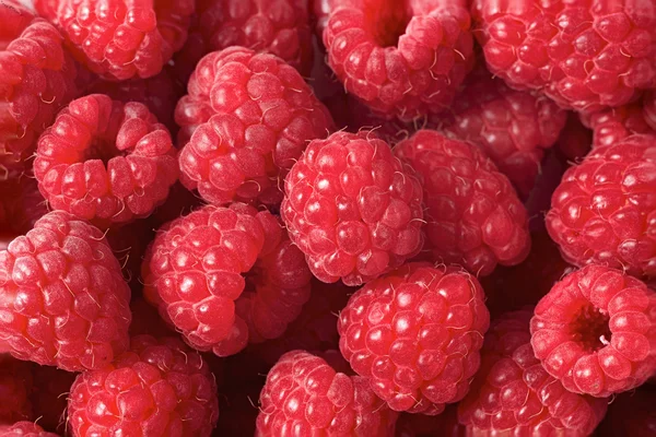 Raspberry texture closeup — Stock Photo, Image