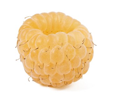 izole sarı ahududu portre