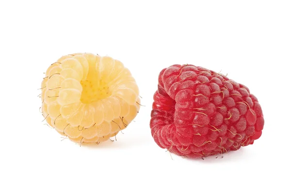 Red and yellow raspberries  isolated — Stock Photo, Image