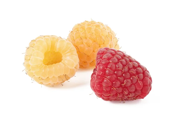 Group of multi-colored raspberries isolated — Stock Photo, Image