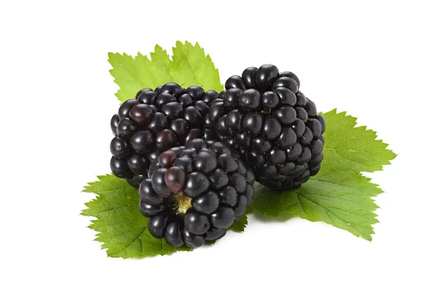Three fresh blackberries with leaves isolated — Stock Photo, Image