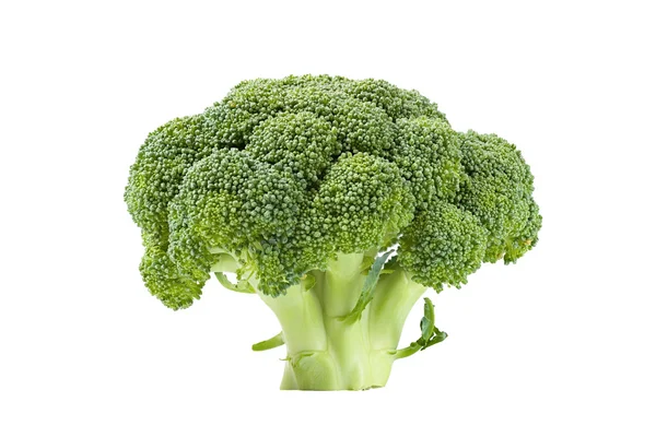 Broccoli freschi vista laterale isolata — Foto Stock