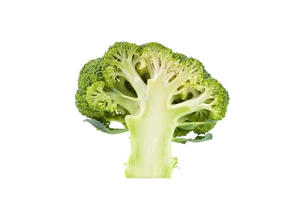 Plátek čerstvé brokolice izolovaných na bílém — Stock fotografie