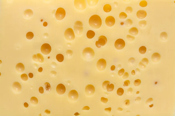 Textura sýra Emintal — Stock fotografie