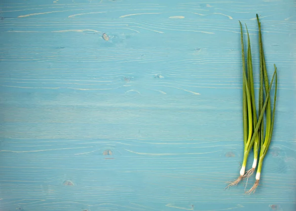 Cebola verde em um fundo de madeira azul — Fotografia de Stock