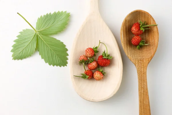 Fresa silvestre en una cuchara de madera — Foto de Stock