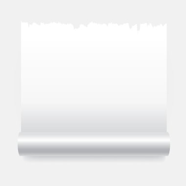 Boş kağıt rulosu