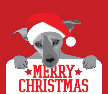 Merry christmas köpek