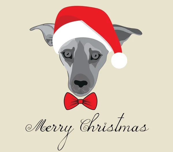 Wesoły Boże Narodzenie pies — Wektor stockowy
