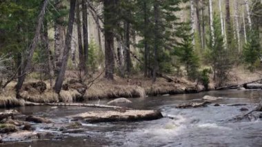 Bahar idealist manzara dağ nehir de ormanın