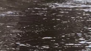 dağ nehir su yüzeyine yağmur damlaları.
