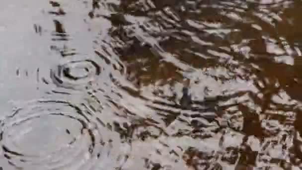 Gouttes de pluie à la surface de l'eau du fleuve . — Video