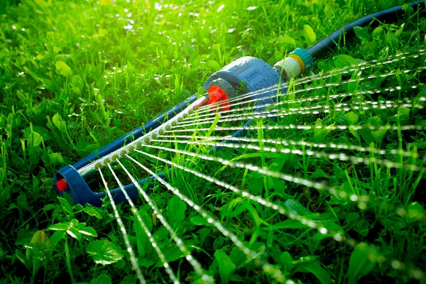 Grassproeier stromend water over groen gras. — Stockfoto