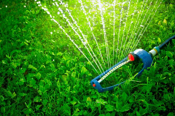 Lawn sprinkler spaying water over green grass. — Stock Photo, Image