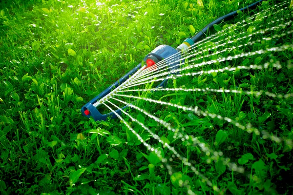 Arroseur de pelouse pulvérisation d'eau sur l'herbe verte. — Photo