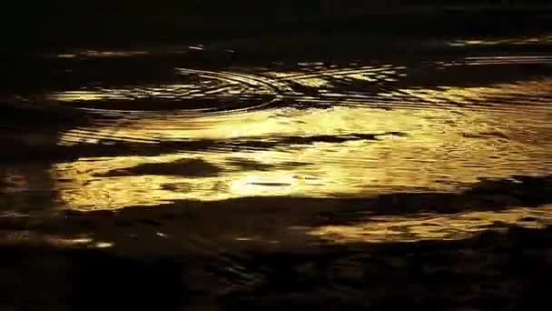 Luz dorada del agua. Bucle — Vídeo de stock