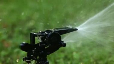 Bahçe yağmurlama. Seçici odak.