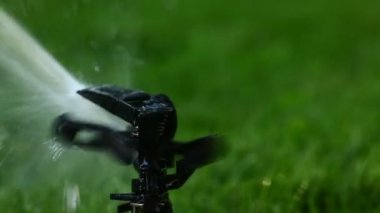 Bahçe yağmurlama. Seçici odak. Düşük kontrast