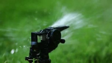 Bahçe yağmurlama. Seçici odak.
