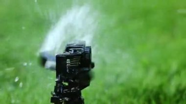 Bahçe yağmurlama. Seçici odak. Yüksek kare hızı