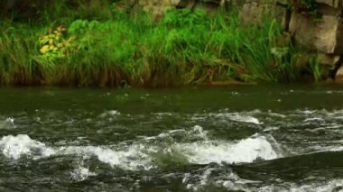 Kayalık dağ nehir kıyısında