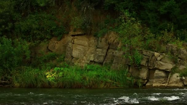 Orilla rocosa del río de montaña — Vídeos de Stock