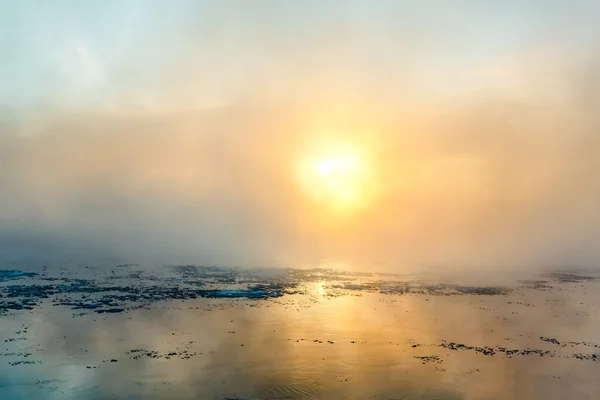 Mist in de winter — Stockfoto