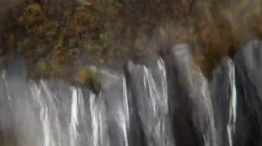 Küçük şelale ve yeşil bitkiler doğada kapatın. Kitle iletişim araçları radyo sinyalleriyle iletilen iz ile