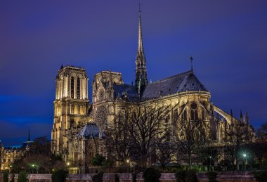 Notre Dame Paris mavi saatte