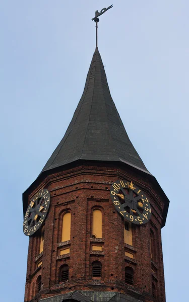 A torre com uma palheta meteorológica — Fotografia de Stock
