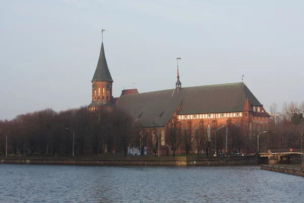 Kathedraal in kaliningrad — Stockfoto