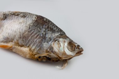 Tuzlu ve kurutulmuş balık