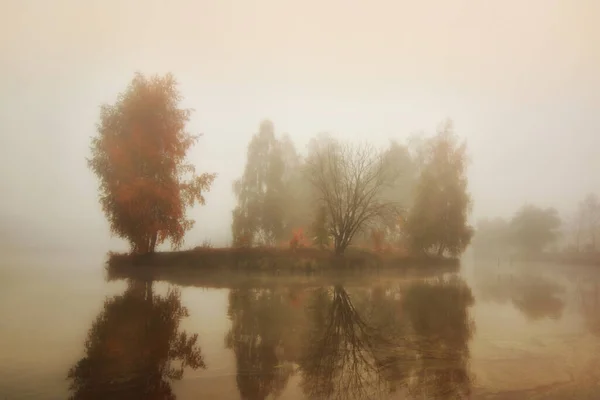 Trübe Herbstlandschaft Eine Kleine Insel Mit Bäumen Und Trockenem Gras — Stockfoto