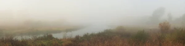 Ein Weites Panorama Auf Einen Schmalen Fluss Mit Von Schilf — Stockfoto