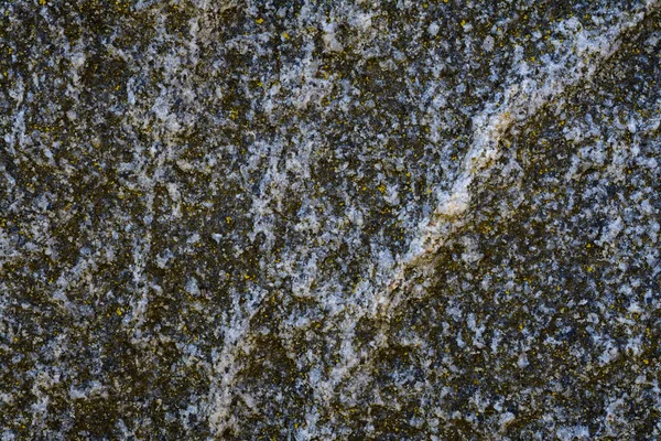 Stein Oder Granit Grau Gesprenkelt Moosigen Hintergrund — Stockfoto